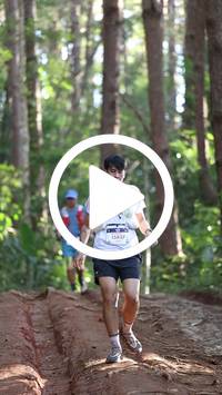 BIB:  <button type="button" onclick="openModal(26569800)" class="btn btn-primary btn-sm float-right" data-toggle="modal" data-target=".modal-high-quality">
                <i class="fa fa-download"></i> Download
                </button>